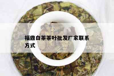 福鼎白茶茶叶批发厂家联系方式