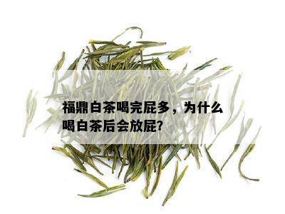 福鼎白茶喝完屁多，为什么喝白茶后会放屁？