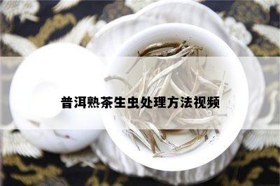 普洱熟茶生虫处理方法视频