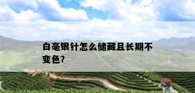 白毫银针怎么储藏且长期不变色？