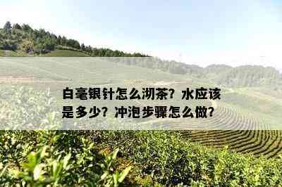 白毫银针怎么沏茶？水应该是多少？冲泡步骤怎么做？