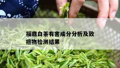 福鼎白茶有害成分分析及致癌物检测结果