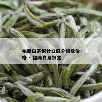 福鼎白茶银针口感介绍及价格 - 福鼎白茶银龙