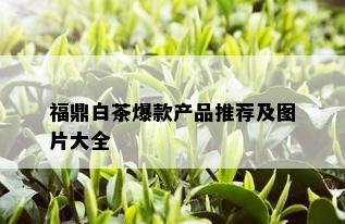 福鼎白茶爆款产品推荐及图片大全