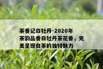 茶香记白牡丹-2020年茶韵品香白牡丹茶花香，完美呈现白茶的独特魅力