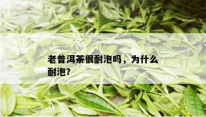 老普洱茶很耐泡吗，为什么耐泡？