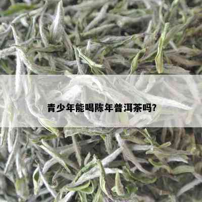 青少年能喝陈年普洱茶吗？