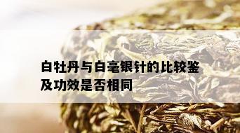 白牡丹与白毫银针的比较鉴及功效是否相同