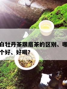 白牡丹茶跟眉茶的区别、哪个好、好喝？