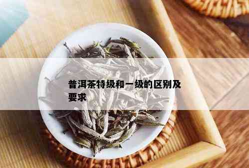 普洱茶特级和一级的区别及要求