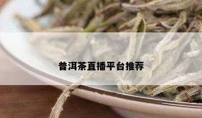 普洱茶直播平台推荐