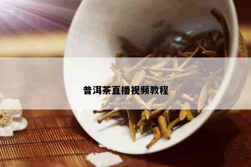 普洱茶直播视频教程