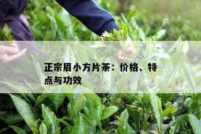 正宗眉小方片茶：价格、特点与功效