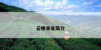 云根茶业简介