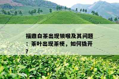 福鼎白茶出现锁喉及其问题：茶叶出现茶梗，如何撬开？