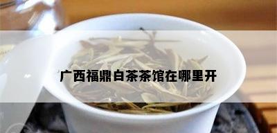 广西福鼎白茶茶馆在哪里开