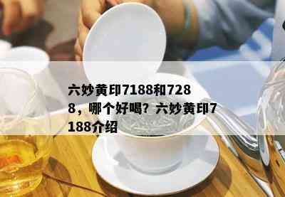 六妙黄印7188和7288，哪个好喝？六妙黄印7188介绍