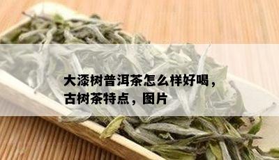 大漆树普洱茶怎么样好喝，古树茶特点，图片