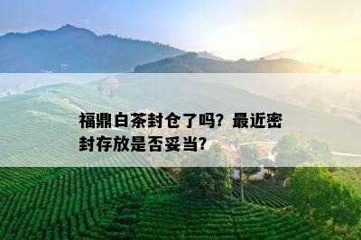 福鼎白茶封仓了吗？最近密封存放是否妥当？