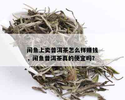 闲鱼上卖普洱茶怎么样赚钱，闲鱼普洱茶真的便宜吗？