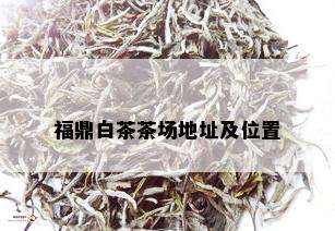 福鼎白茶茶场地址及位置