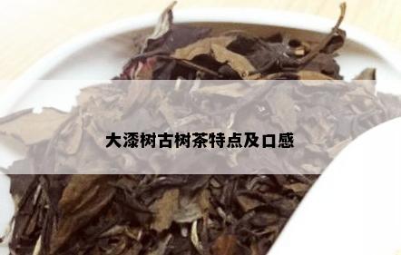 大漆树古树茶特点及口感