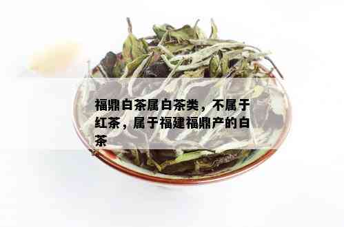 福鼎白茶属白茶类，不属于红茶，属于福建福鼎产的白茶