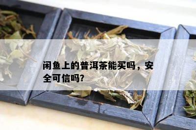 闲鱼上的普洱茶能买吗，安全可信吗？