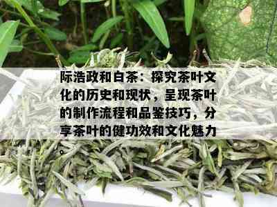 际浩政和白茶：探究茶叶文化的历史和现状，呈现茶叶的制作流程和品鉴技巧，分享茶叶的健功效和文化魅力。