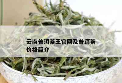 云南普洱茶王官网及普洱茶价格简介