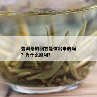 普洱茶的回甘是做出来的吗？为什么能喝？