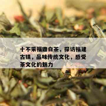 十不采福鼎白茶，探访福建古镇，品味传统文化，感受茶文化的魅力