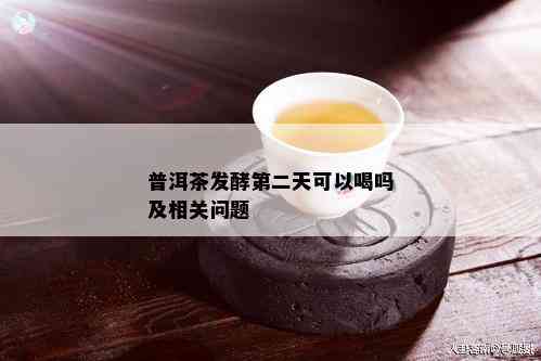 普洱茶发酵第二天可以喝吗及相关问题