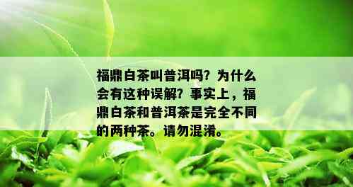 福鼎白茶叫普洱吗？为什么会有这种误解？事实上，福鼎白茶和普洱茶是完全不同的两种茶。请勿混淆。