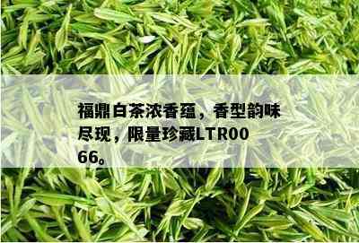 福鼎白茶浓香蕴，香型韵味尽现， *** 珍藏LTR0066。