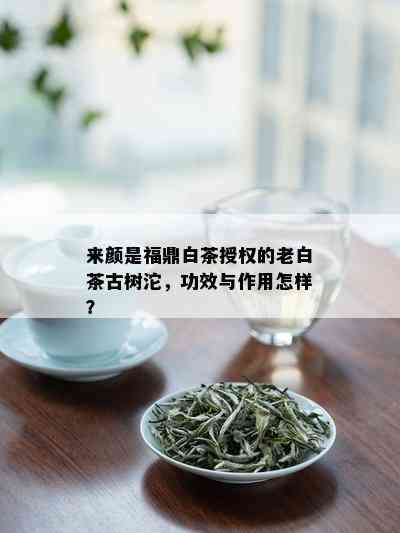 来颜是福鼎白茶授权的老白茶古树沱，功效与作用怎样？