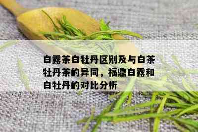 白露茶白牡丹区别及与白茶牡丹茶的异同，福鼎白露和白牡丹的对比分析