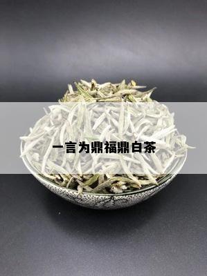 一言为鼎福鼎白茶