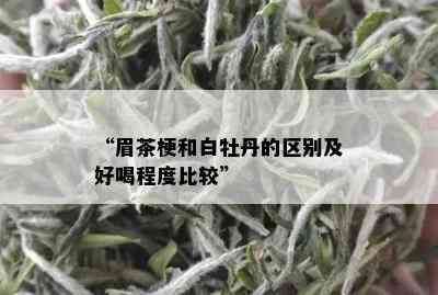 “眉茶梗和白牡丹的区别及好喝程度比较”