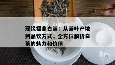 琛缘福鼎白茶：从茶叶产地到品饮方式，全方位解析白茶的魅力和价值