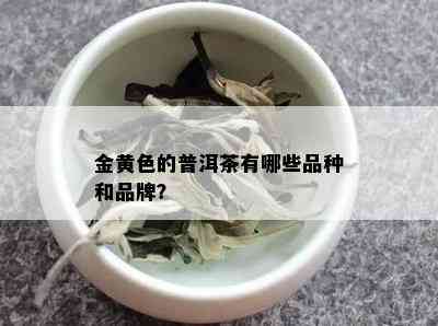 金黄色的普洱茶有哪些品种和品牌？