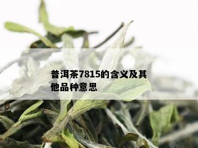 普洱茶7815的含义及其他品种意思