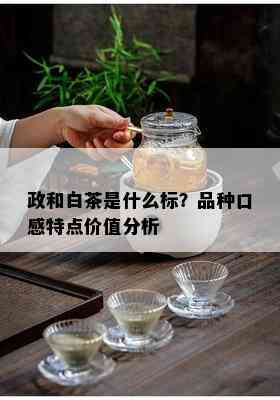 政和白茶是什么标？品种口感特点价值分析