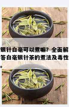 银针白毫可以煮嘛？全面解答白毫银针茶的煮法及性。