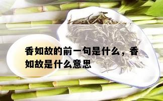 香如故的前一句是什么，香如故是什么意思