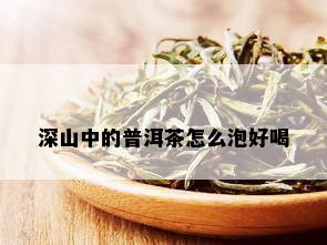 深山中的普洱茶怎么泡好喝