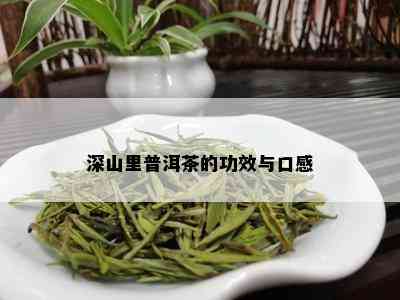 深山里普洱茶的功效与口感