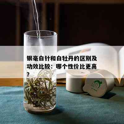 银毫白针和白牡丹的区别及功效比较：哪个性价比更高？