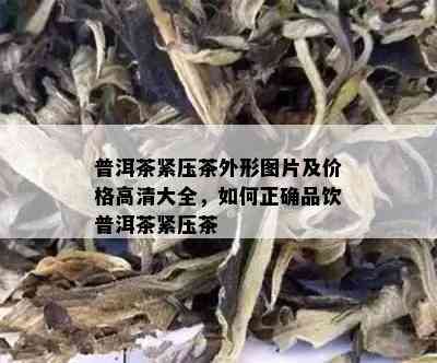 普洱茶紧压茶外形图片及价格高清大全，如何正确品饮普洱茶紧压茶