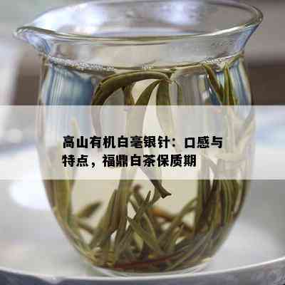 高山有机白毫银针：口感与特点，福鼎白茶保质期